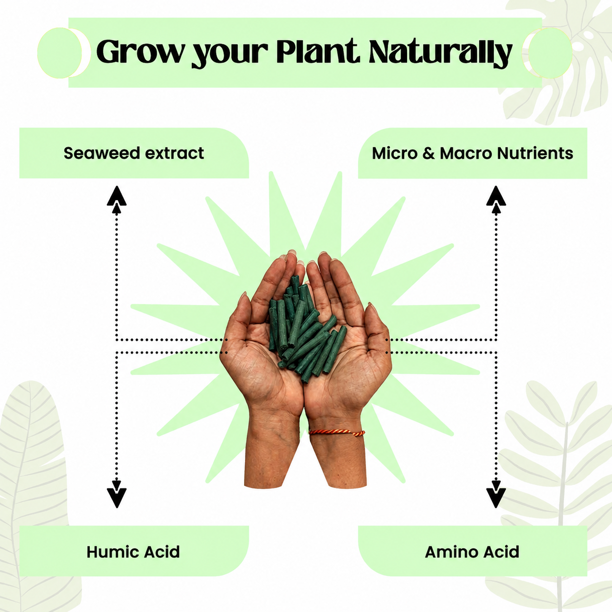 Dr. Green Magic Stick For Plant
