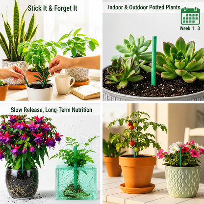 Dr. Green Magic Stick For Plant