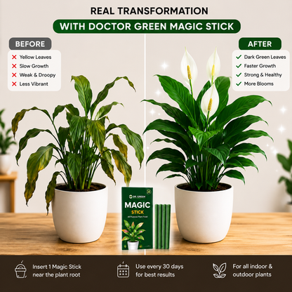 Dr. Green Magic Stick For Plant