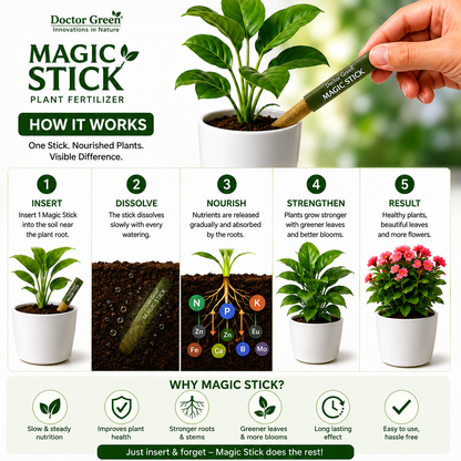 Dr. Green Magic Stick For Plant